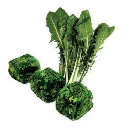 Cicoria Cubetto 2,5 kg Mediterranea Surgelati Teramo Abruzzo